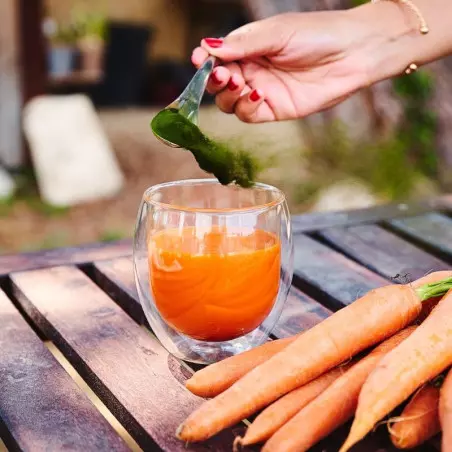 Bio-Chlorella Rohkostqualität Pulver