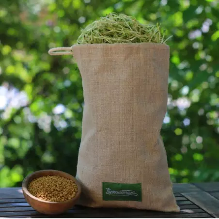 bolsa para germinar de cáñamo orgánico viaje sproutbag