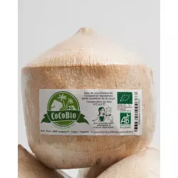 noix de coco fraiches cocoboys eau jeune