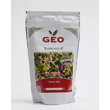 mix vivace bio geo semente germinada