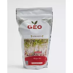 mix allegro geo sementes para germinar Alho-poró, Agrião, Rúcula, Alfafa