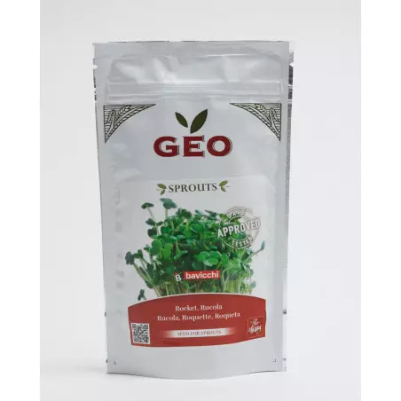 semilla de rúcula bio geo germinada