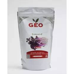 semilla de rábano rojo bio geo germinado