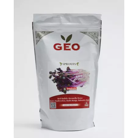 graine radis rouge bio geo germé