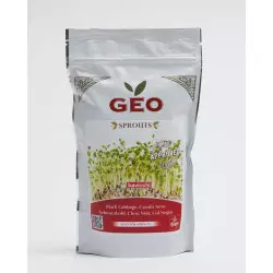 semilla de col negra orgánica geo para germinar