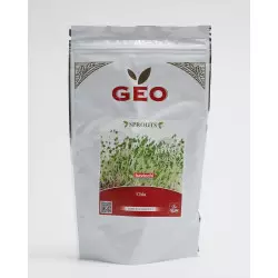 Bio-Chia-Samen gekeimt