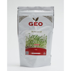 semente de chia biológica geo germinada