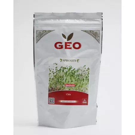 semente de chia biológica geo germinada