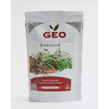 semilla de hinojo bio geo germinada