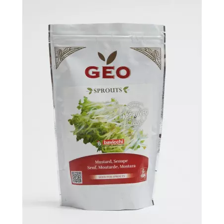 semilla de mostaza orgánica geo germinada