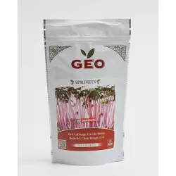 semente de couve-roxa bio geo semente para germinar