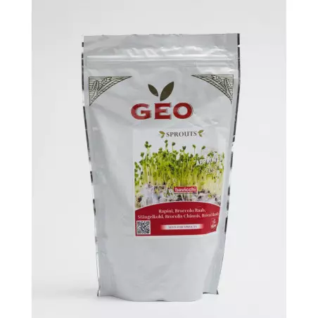 semente de brócolis chinês bio geo para germinar