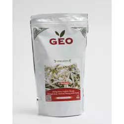 semente de feijão mungo bio geo germinado