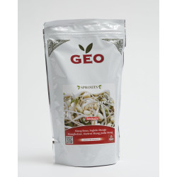 semilla de frijol mungo bio geo germinado