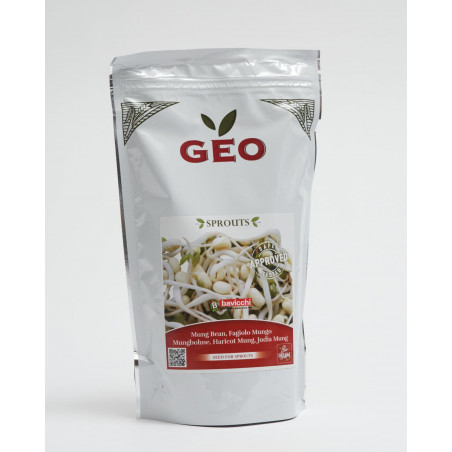 semilla de frijol mungo bio geo germinado