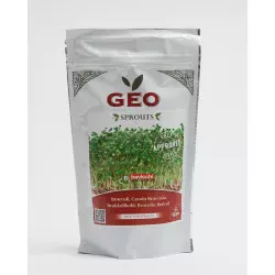 semente de brócolis bio geo germinada