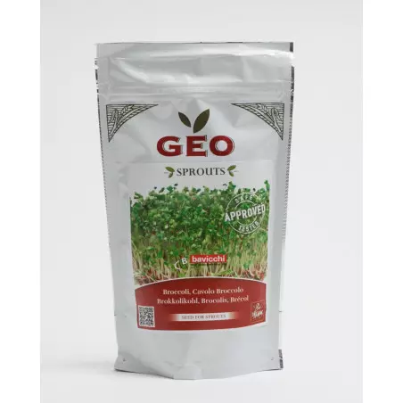 semilla de brócoli orgánico geo germinado