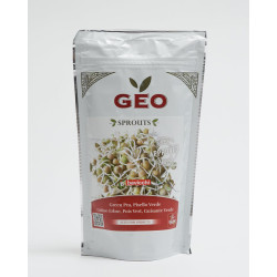 semente de ervilha verde bio geo germinada