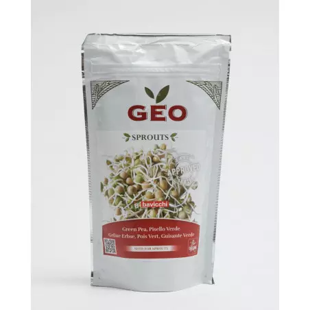 semilla de guisante verde bio geo germinado