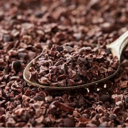 Criollo variety raw cacao nibs