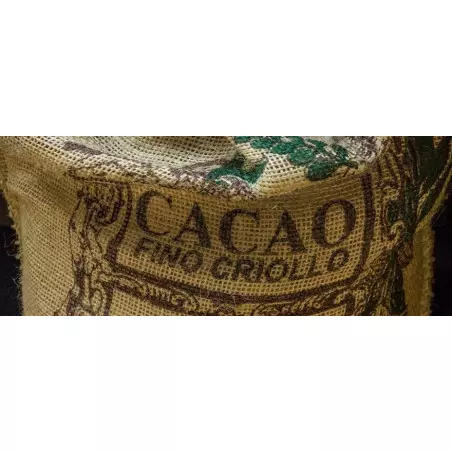 Criollo variety raw cacao nibs