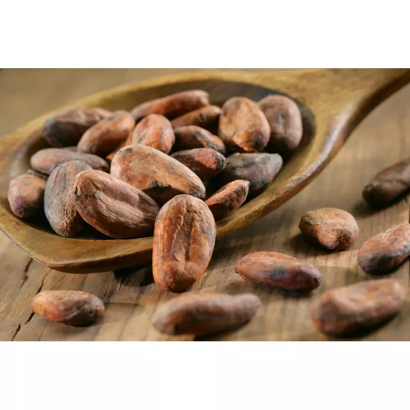 Fèves de cacao crues - Achat, bienfaits et conseils - MesÉpices.com