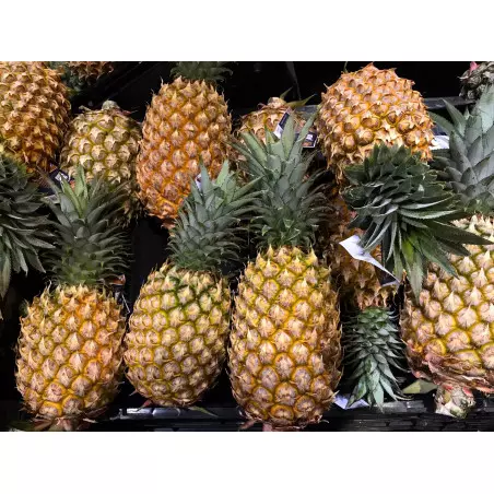 fresh queen pineapple