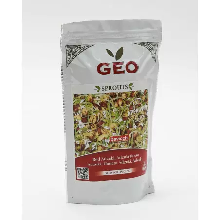 semilla para germinar frijol azuki bio saludable