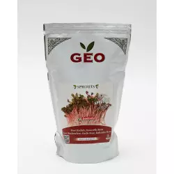 semente para germinar rabanete rosa da China bavicchi