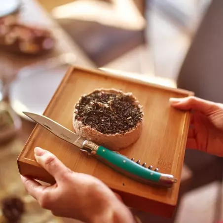 Espaguete do mar biológico Folhas de Alga Seca Baixa Temperatura queijo fresco em uma bandeja para degustar