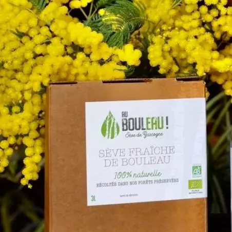 Seiva de bétula bio 3L | Ao Bétula! 100% natural