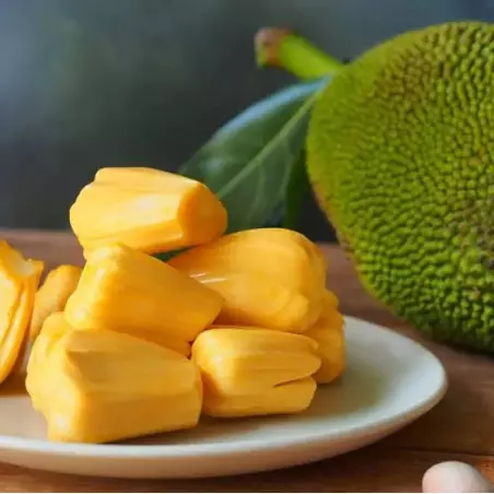 gevriesdroogde jackfruit uit Thailand