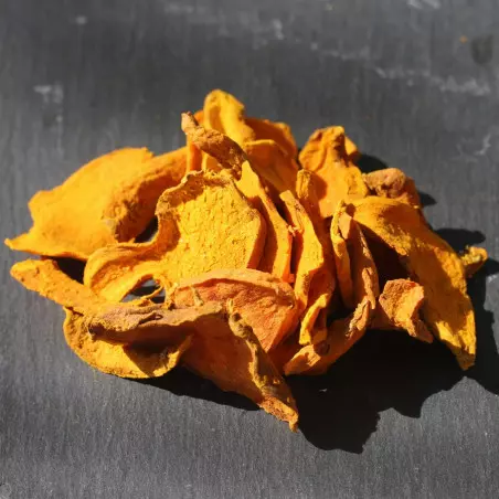 curcuma biologico crudo disidratato a bassa temperatura curcumina