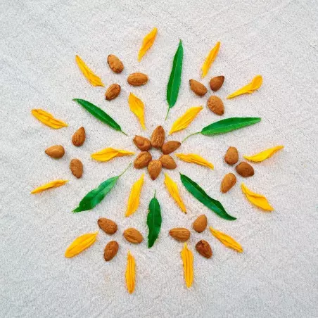 mandala almendras activadas y flores, sin ácido fítico