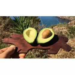 Aguacate Orgánico de España (5 Kg)