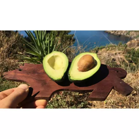 Aguacate Orgánico de España (5 Kg)