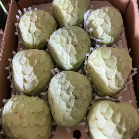 organic cherimoya from Spain