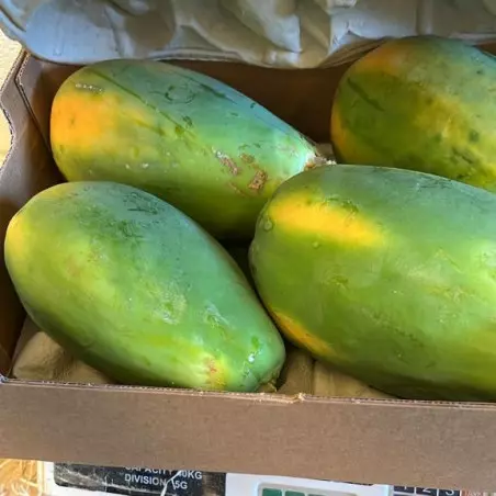 Biologische Papayas 5-kg-Kiste