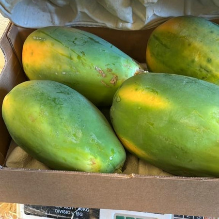 papayas orgánicas caja de 5 kg