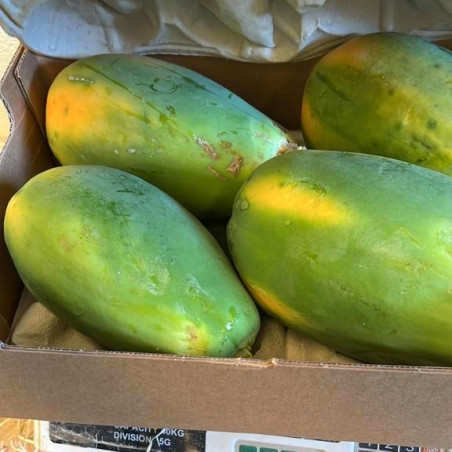 papayes biologiques caisse de 5 kg