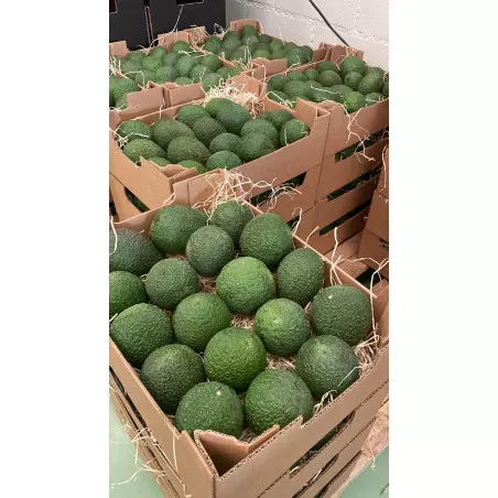 Aguacates hass orgánicos