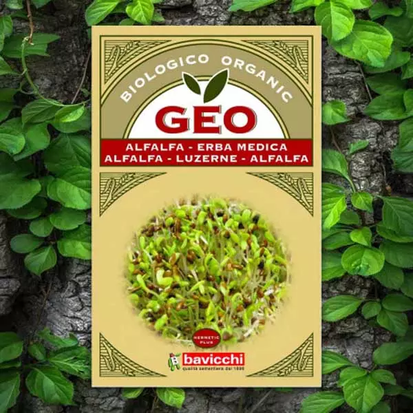 Seed Alfafa Lucerne GEO Organic