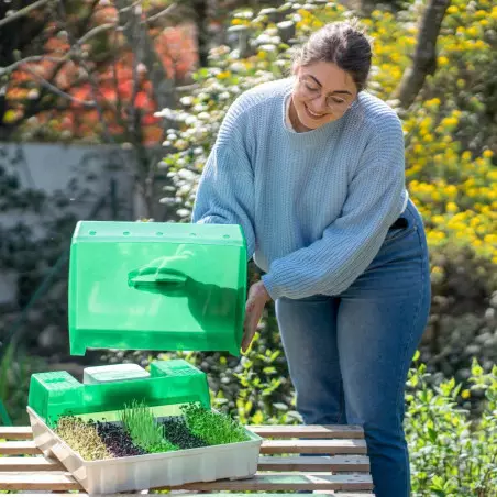 Vorteile von gekeimten Samen einfach mit dem Easygreen