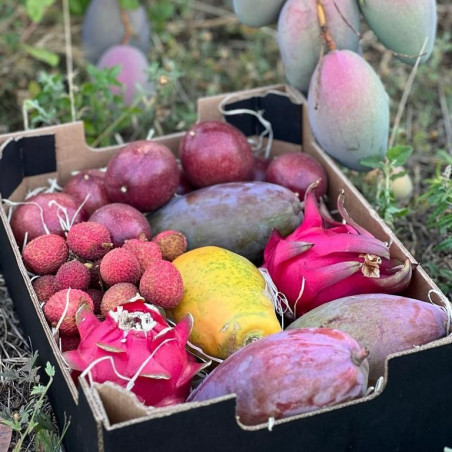 papaya mango pitaya passion fruit lychee origin Spain