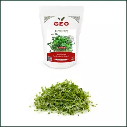 Germinazione dei Semi Bio Rucola Arugula