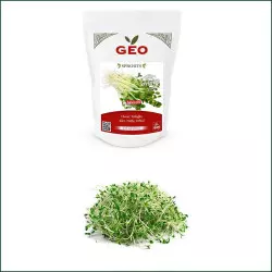 Germinação de Sementes Bio de Trevo Vermelho