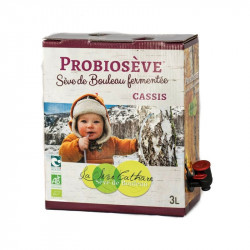 Probioseve blackcurrant, fermented birch sap