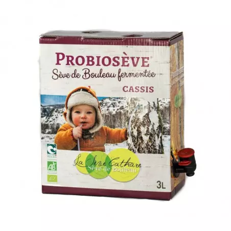 Probioseve cassis, sève de bouleau fermentée