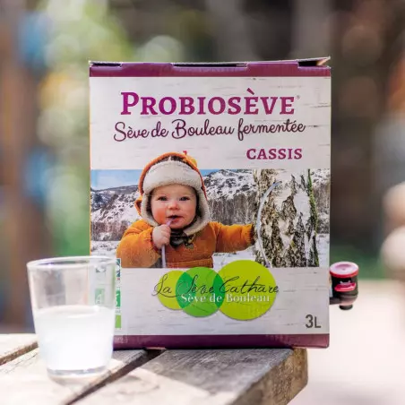 Sève de bouleau fermentée Cassis - bio