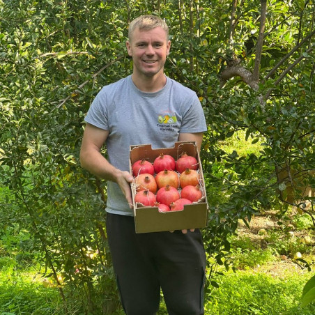 organic producer of pomegranates in Spain